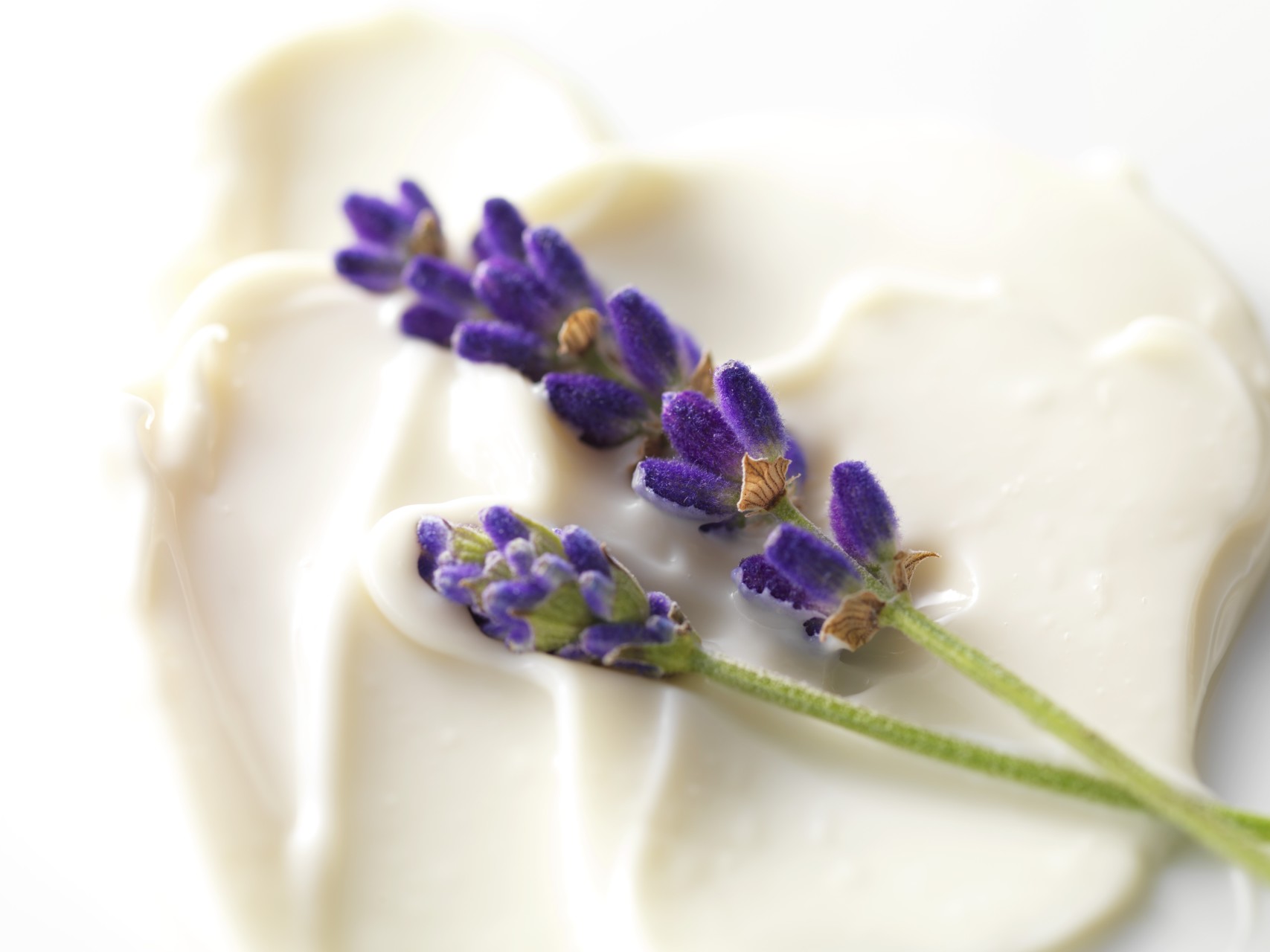 Montauto officinal lavender moisturising face cream